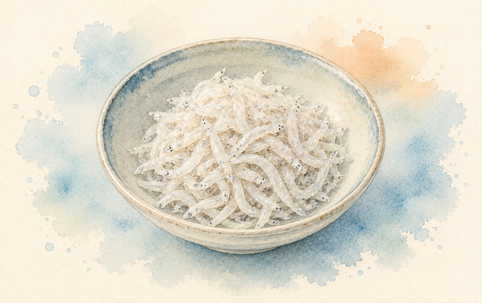 駿河湾で水揚げされた生シラス